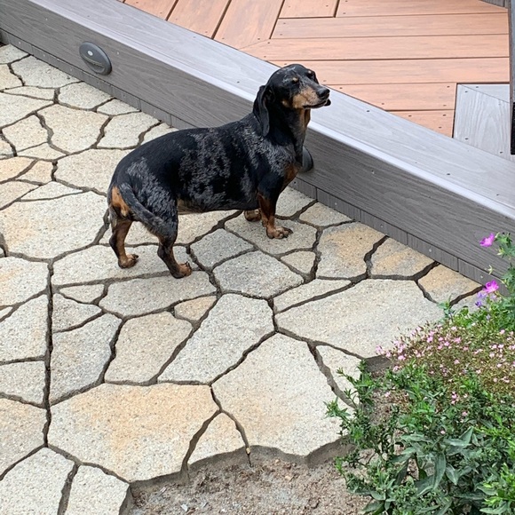 Meet your Posher - Picture 12 of 13